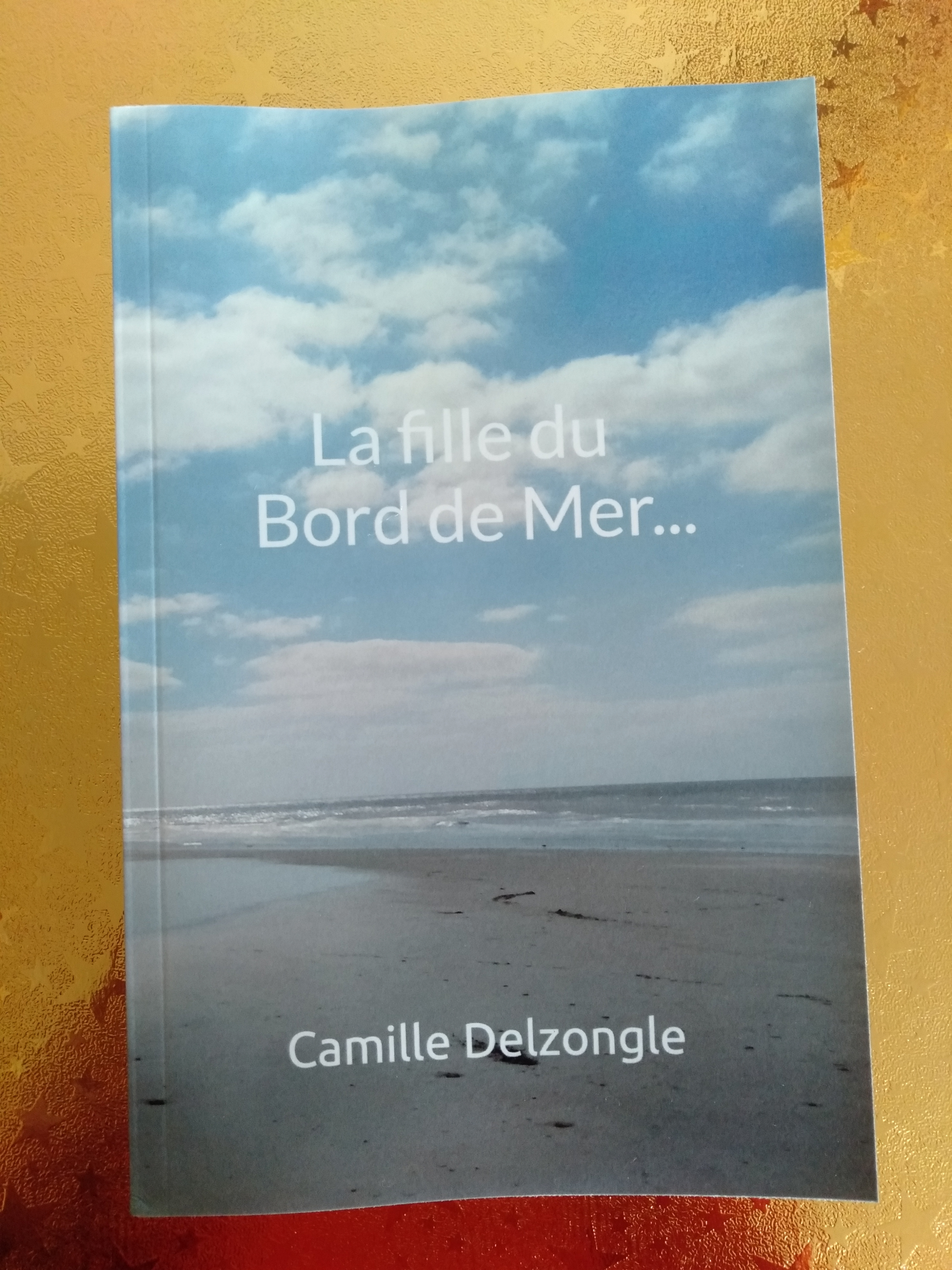La fille du bord de mer, le premier roman de Camille Delzongle en vente chez l'auteure, contactez-la !